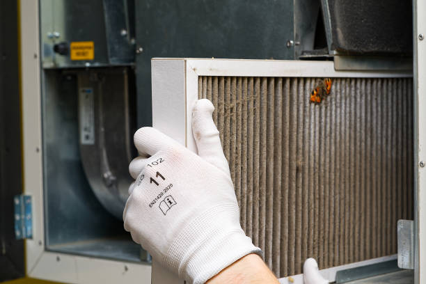 Best Home Air Vent Cleaning  in Wekiwa Springs, FL