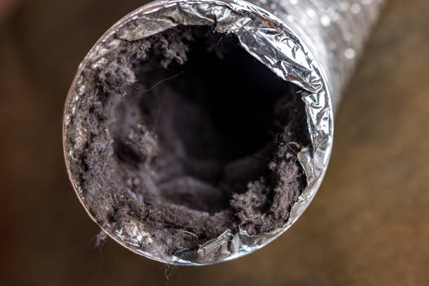 Best HVAC System Cleaning  in Wekiwa Springs, FL