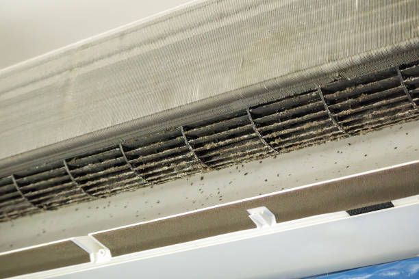 Best Best Air Duct Cleaning Company  in Wekiwa Springs, FL